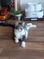 /album/09-11-20251/afbeelding-van-whatsapp-op-2025-11-07-om-12-30-42-d1e5e0eb-jpg/